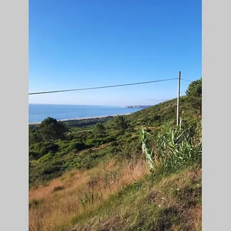 Sunflower Sea View With Magnificent Terrace In Serra Da Pescaria, - Portugal 別荘 ナザレ