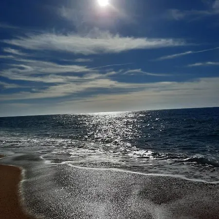 Sunflower Sea View With Magnificent Terrace In Serra Da Pescaria, - Portugal ナザレ