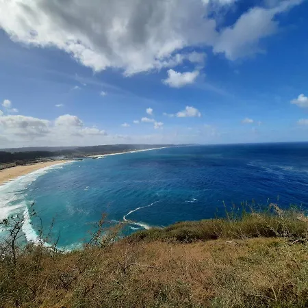 Sunflower Sea View With Magnificent Terrace In Serra Da Pescaria, - Portugal * ナザレ