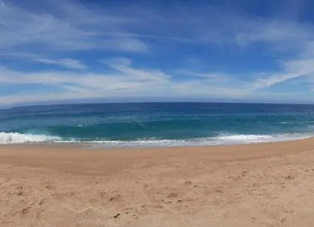 Sunflower Sea View With Magnificent Terrace In Serra Da Pescaria, - Portugal 別荘 ナザレ