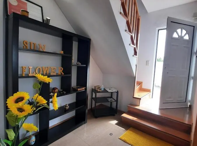 Nyaraló Sunflower Sea View With Magnificent Terrace In Serra Da Pescaria, - Portugal Nazaré