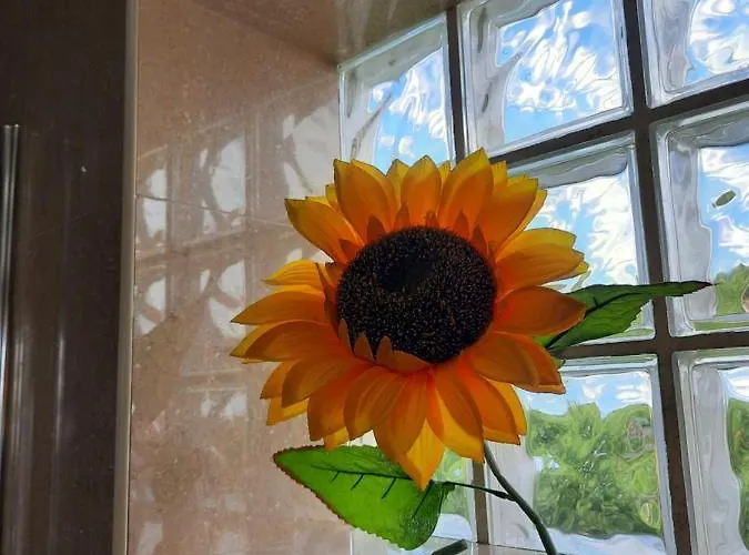 Nyaraló Sunflower Sea View With Magnificent Terrace In Serra Da Pescaria, - Portugal Nazaré