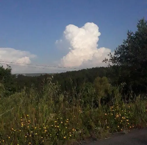 Sunflower Sea View With Magnificent Terrace In Serra Da Pescaria, - Portugal Nyaraló Nazaré