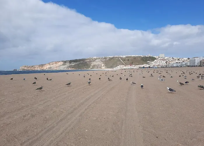 Nyaraló Sunflower Sea View With Magnificent Terrace In Serra Da Pescaria, - Portugal
