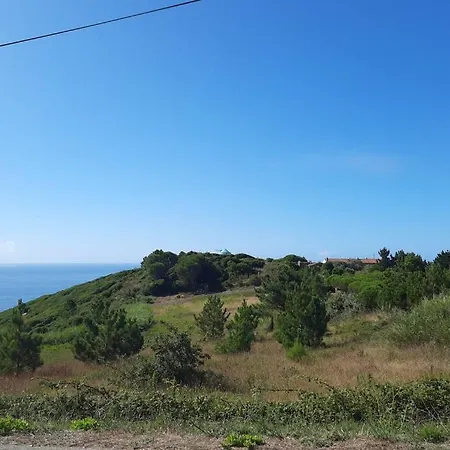 Sunflower Sea View With Magnificent Terrace In Serra Da Pescaria, - Portugal Holiday home