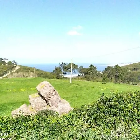 Holiday home Sunflower Sea View With Magnificent Terrace In Serra Da Pescaria, - Portugal Nazare