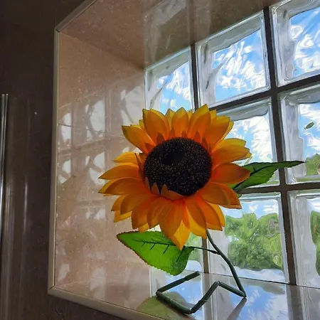 Holiday home Sunflower Sea View With Magnificent Terrace In Serra Da Pescaria, - Portugal Nazare