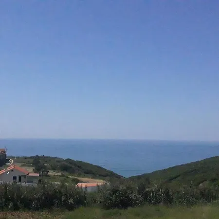 Holiday home Sunflower Sea View With Magnificent Terrace In Serra Da Pescaria, - Portugal