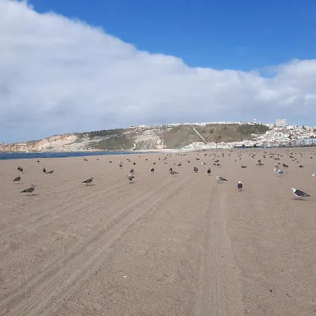 Prázdninový dům Sunflower Sea View With Magnificent Terrace In Serra Da Pescaria, - Portugal