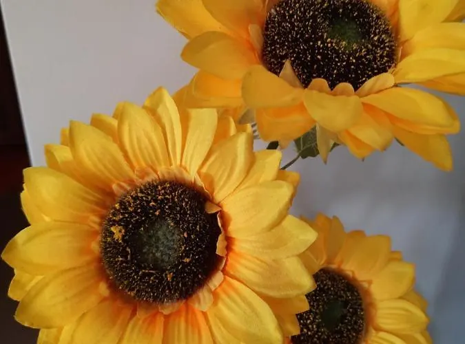 Sunflower Sea View With Magnificent Terrace In Serra Da Pescaria, - Portugal Vakantiehuis *